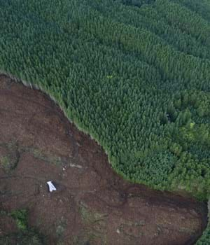 Aerial view of forest which has half disappeared from logging