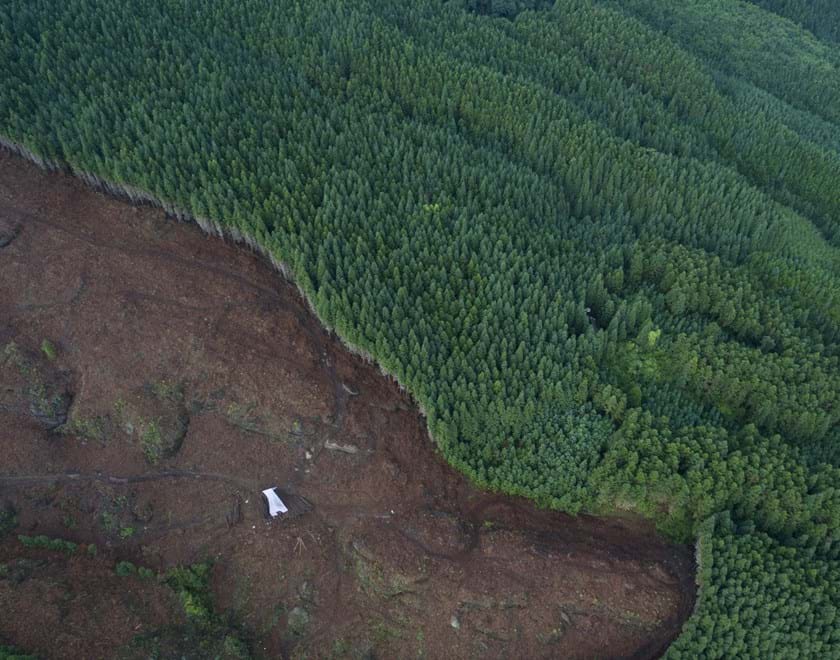 Aerial view of forest which has half disappeared from logging