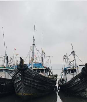 A row of fishing boats