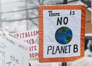 There is no planet B sign at climate change protest